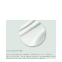 Ren Evercalm Ultra Comforting Rescue Mask -Babor Store Evercalm Ultra Comforting Rescue Mask ad 71959 4705 general