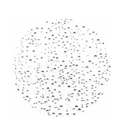 Physiodermie Ferulic SOD Mist Organic 4 Physiodermie Ferulic SOD Mist Organic - Image 2