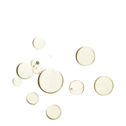 Whish Founder -Babor Store Founder s Vault Bakuchiol Boosting Drop 71105 5312 general