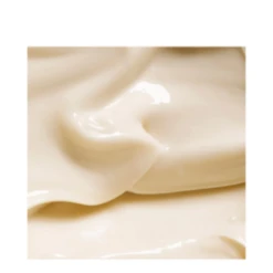 Odacite Intensive Therapy Shea Butter + Citrus Fruit -Babor Store Intensive Therapy Shea Butter Citrus F 31508 7423 general