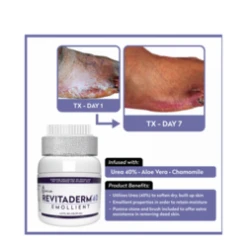 Dr.Blaines Revitaderm40 Emollient -Babor Store Revitaderm40 Emollient add2 65160 4998 general